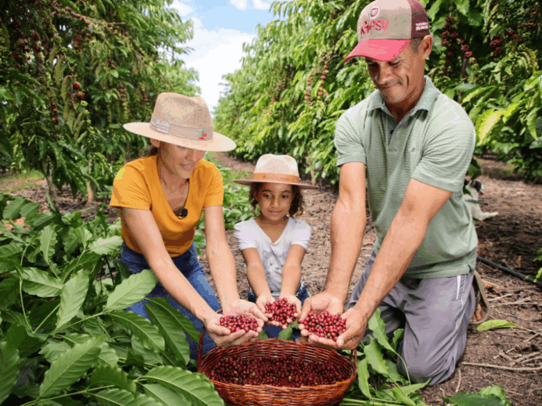 Produtor de café sustentável mostrando grãos colhidos em práticas que respeitam o meio ambiente.