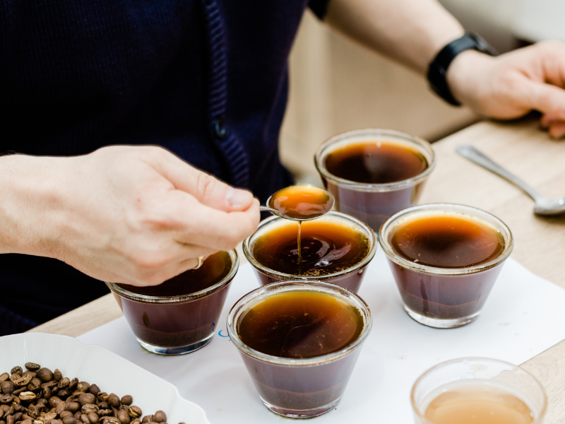 Degustação de cafés certificados mostrando a importância das certificações de café sustentável para o consumidor consciente.