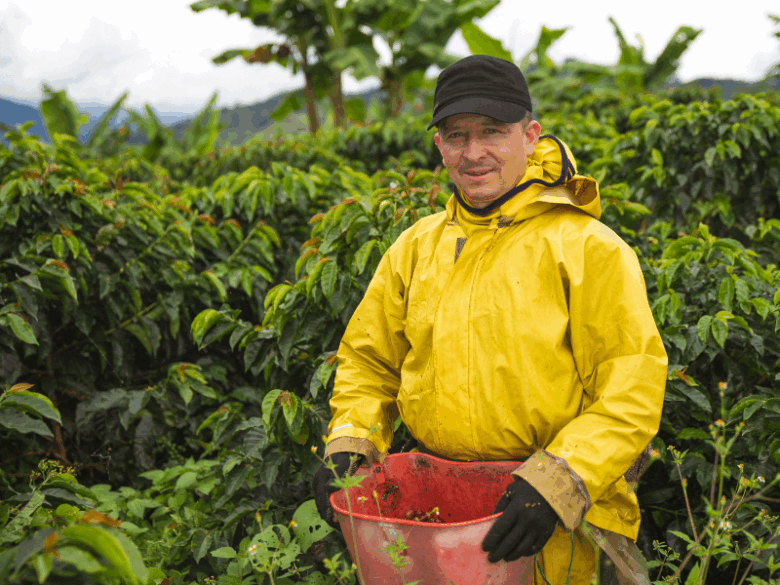 Produtor em lavoura mostrando práticas ligadas às certificações de café sustentáveis.