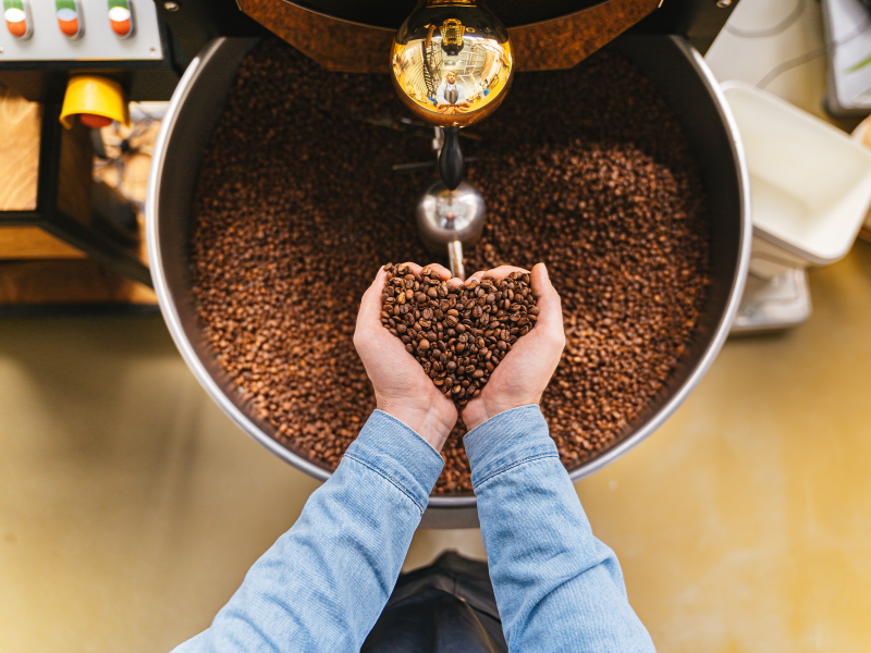 Processamento natural do café mostrado em detalhes.