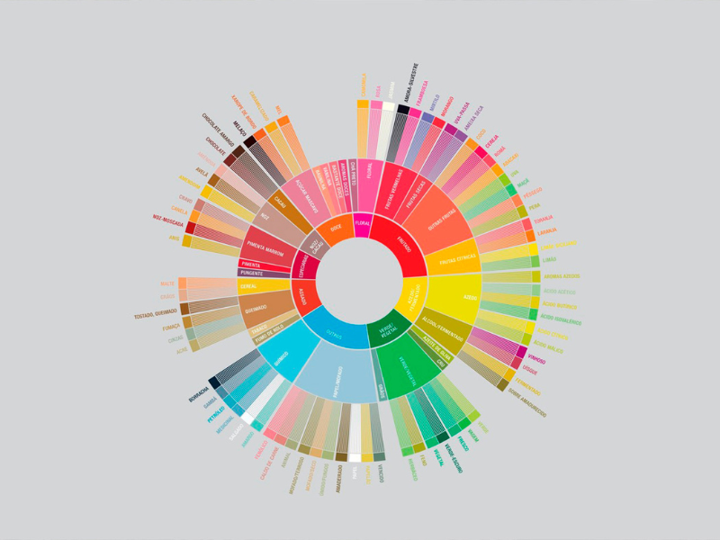 Roda de sabores de café especial