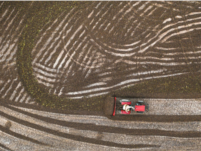 vista aérea de produção sustentável de cafés especiais em São Paulo