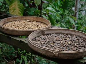Duas cestas artesanais com grãos torrados expostos, representando o trabalho das microtorrefações de café especial em São Paulo.
