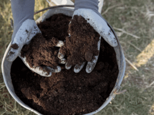 como como reutilizar borra de café como adubo natural em composteira